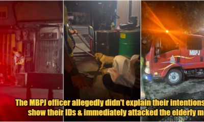 My Post 1 2023 03 24T144811.639