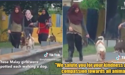 My Post 1 2023 03 28T164347.025