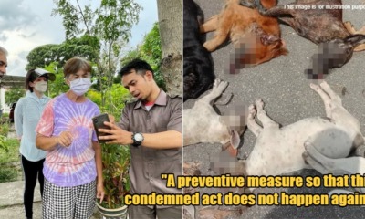 My Post 1 2023 04 07T104225.714 1