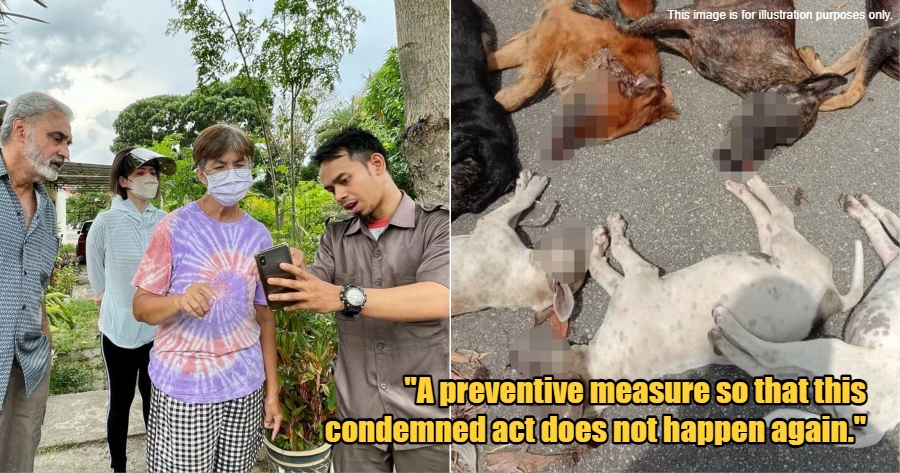 My Post 1 2023 04 07T104225.714 1