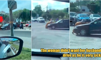 My Post 1 2023 04 26T154754.614