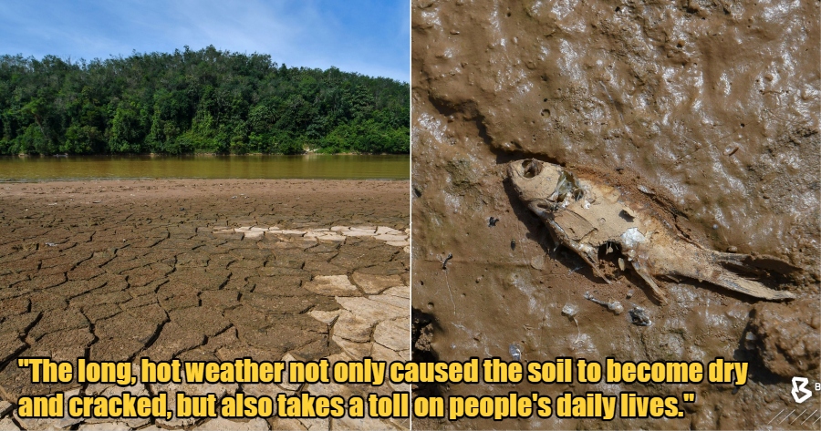 My Post 1 2023 04 28T161638.785