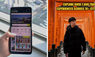 Pelago Feat Image 4 1