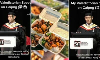 feat image chap fan analogy