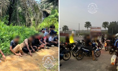 feat image kulai rempit