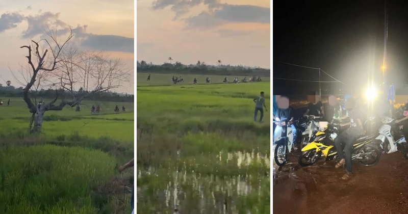 feat image mat rempit flee paddy