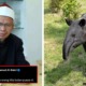feat image tapir halal meat