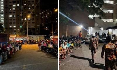 feat image tremors pudu