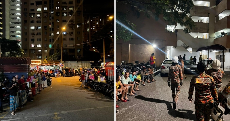 feat image tremors pudu