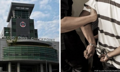 feat image wrong turn woodlands