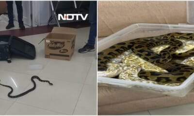 malaysia chennai smuggling