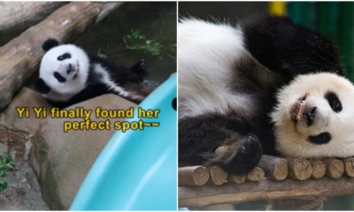 pandas return postponed