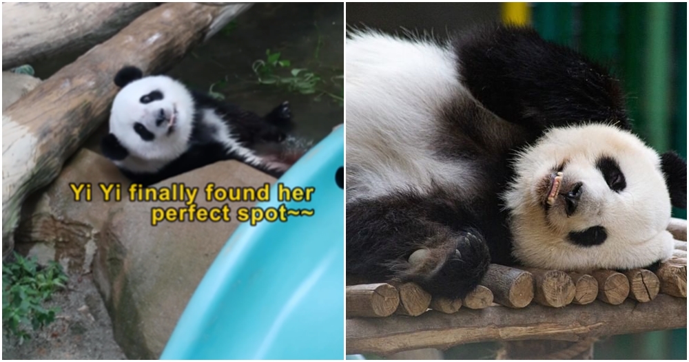 pandas return postponed