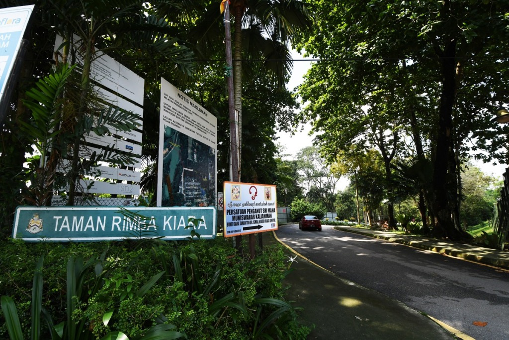 Park 6