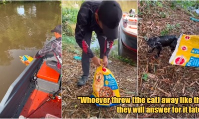 My Post 1 2023 05 02T154616.802