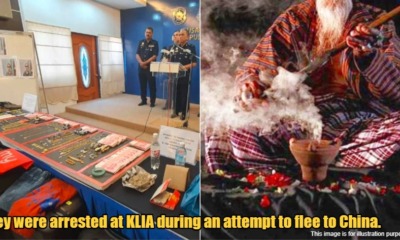 My Post 1 2023 05 02T173333.796