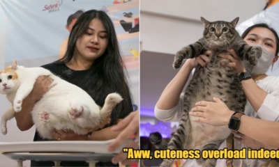 My Post 1 2023 05 03T172242.031