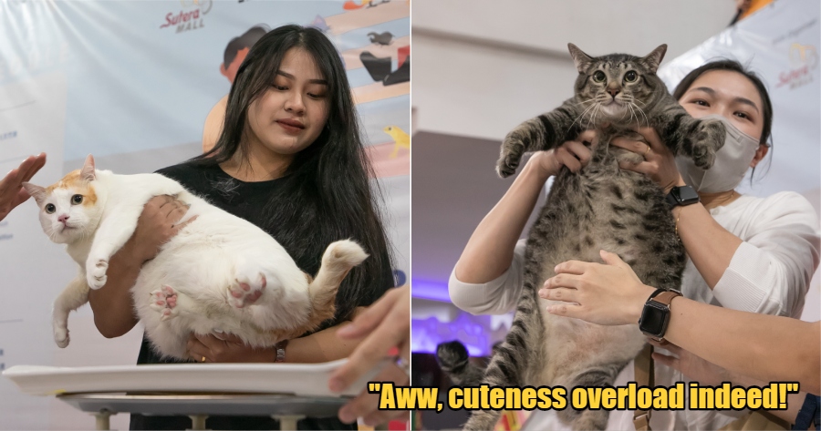 My Post 1 2023 05 03T172242.031