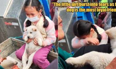 My Post 1 2023 05 04T120352.501