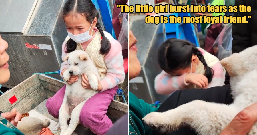 My Post 1 2023 05 04T120352.501