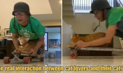 WOB 900 × 473px 71 1