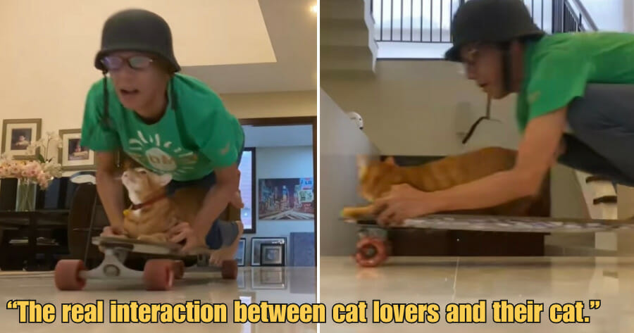 WOB 900 × 473px 71 1