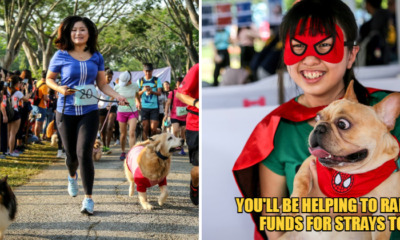 WOB Dogathon feat 1A