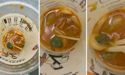 feat image frog udon