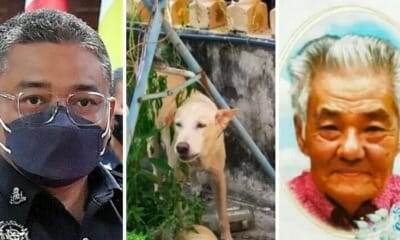 feat image pdrm update