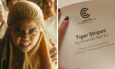 feat image tiger stripes win