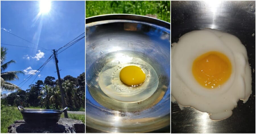 ft egg