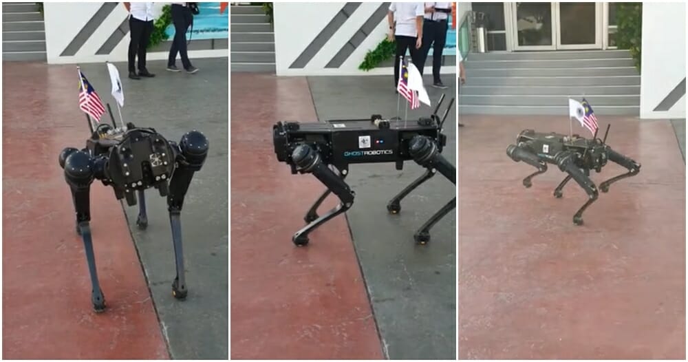 robot dog