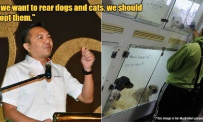 My Post 1 2023 06 13T115045.904