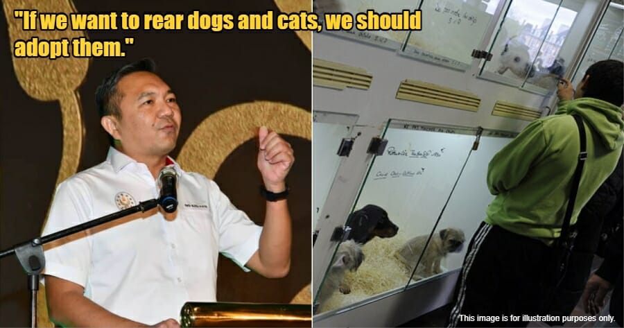 My Post 1 2023 06 13T115045.904