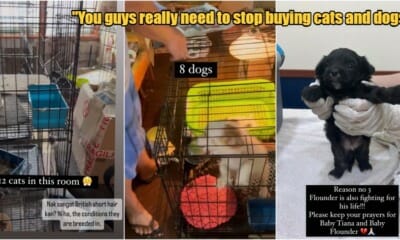 My Post 1 2023 06 15T165906.455