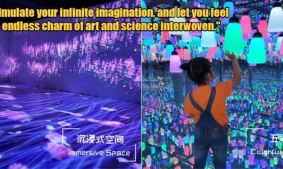 My Post 1 2023 06 22T162241.104