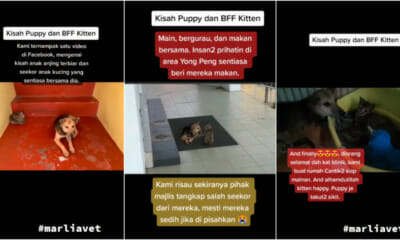 My Post 1 2023 06 22T165748.147