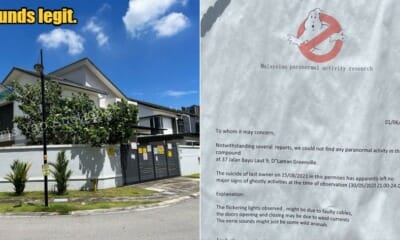 My Post 1 2023 06 28T132320.068