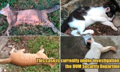 My Post 1 2023 06 30T105203.980