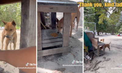 WOB 900 × 473px 2023 06 09T115353.196