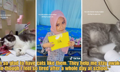 WOB 900 × 473px 2023 06 12T121401.522