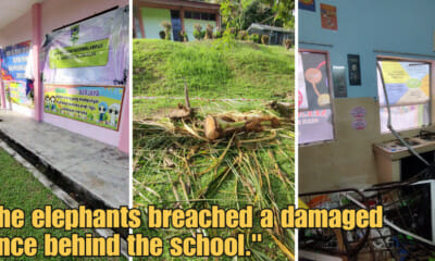 WOB 900 × 473px 2023 06 13T161539.062