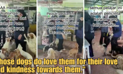 WOB 900 × 473px 2023 06 15T001551.001