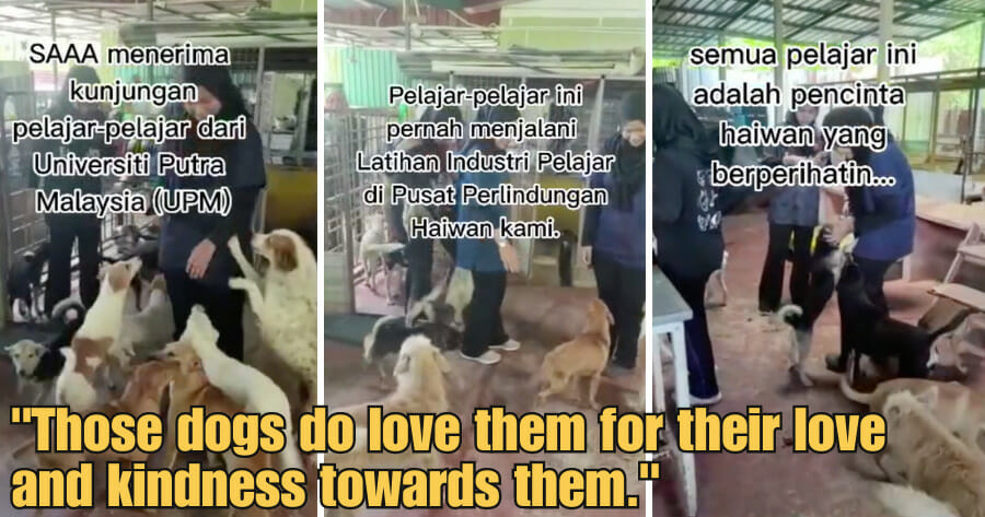 WOB 900 × 473px 2023 06 15T001551.001