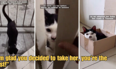 WOB 900 × 473px 2023 06 16T144152.173