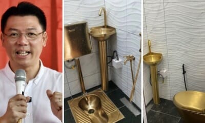 feat image golden toilet