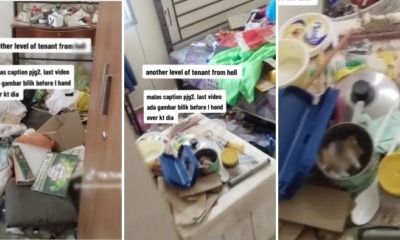 feat image tenant hell