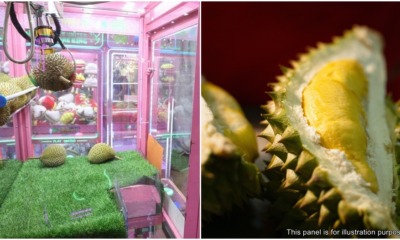singapore durian claw machine