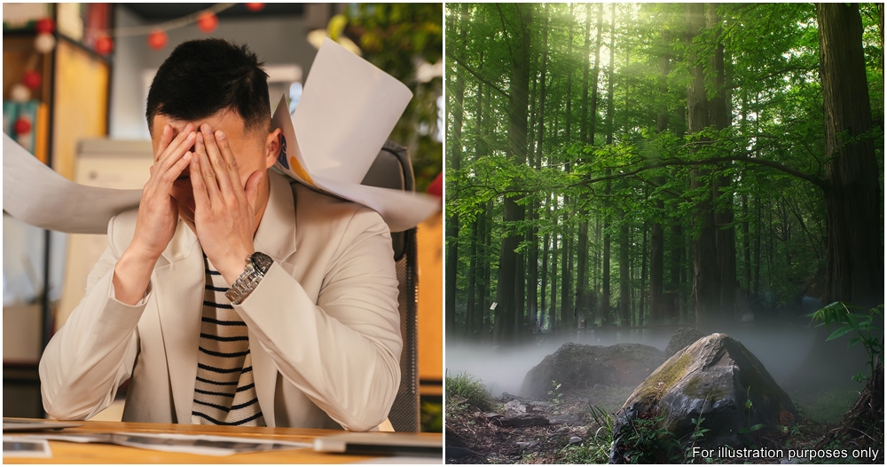 stay in forest stress