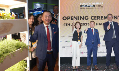 AAA template Recovered